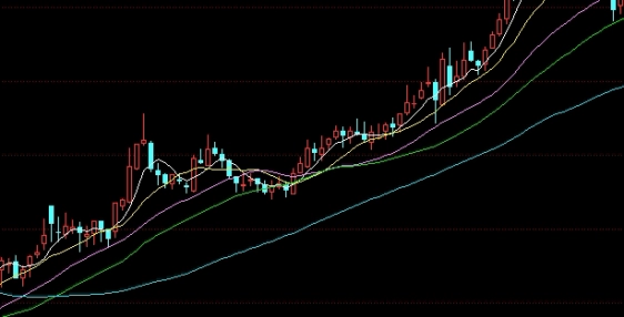 期货核心公开信息筛选逻辑与实用判断方法全面解析 期货核心公开信息筛选逻辑与实用判断方法全面解析
